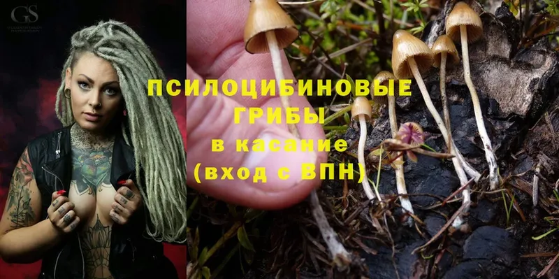 Галлюциногенные грибы GOLDEN TEACHER  купить закладку  Билибино 